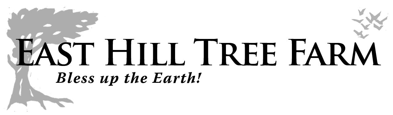 http://easthilltreefarm.com/cdn/shop/files/East_Hill_Logo_web.jpg?v=1632487569