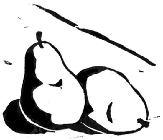 Harrow Sweet Pear 4-6 ft branched tree